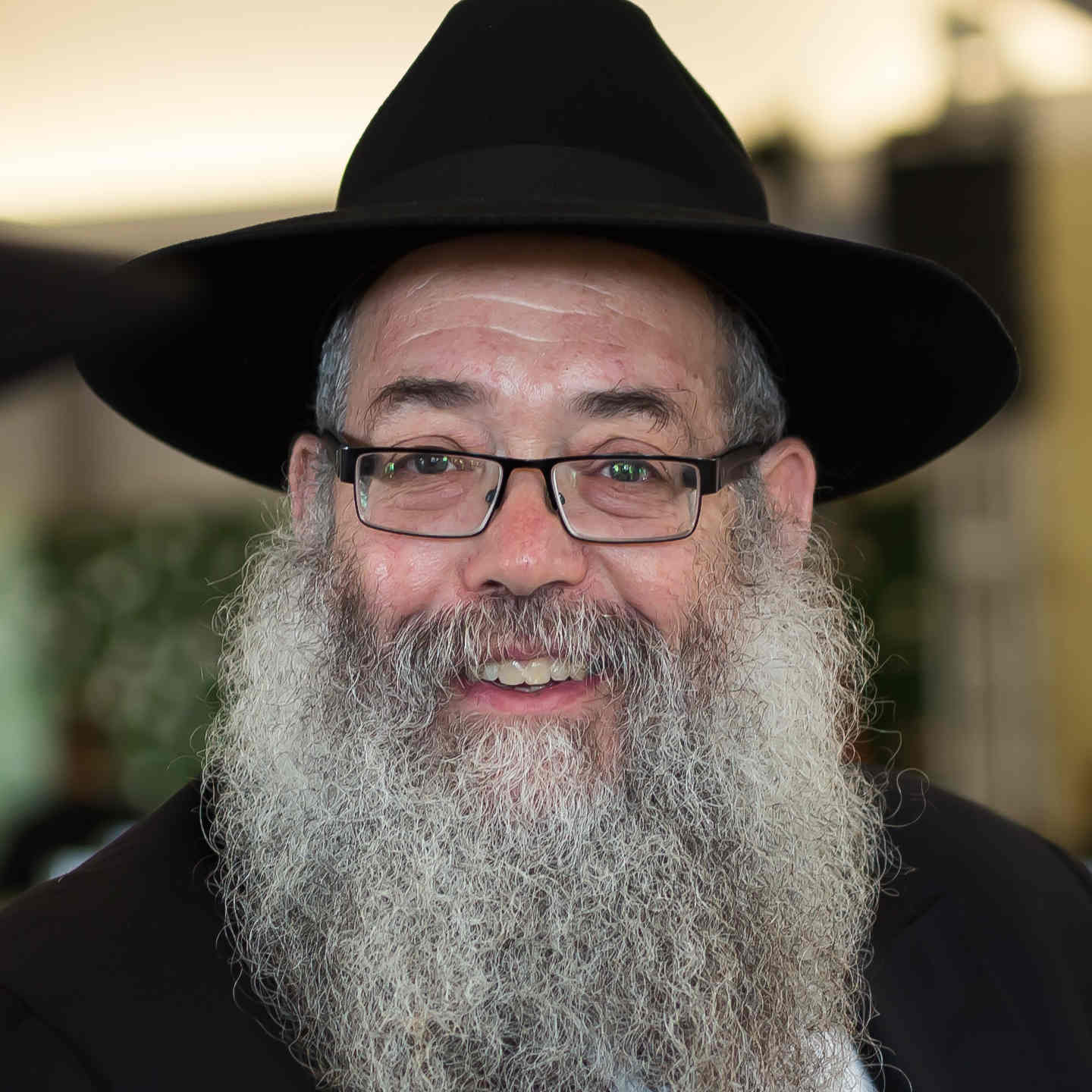 Rulings and insights from the Lubavitcher Rebbe - Rabbi Chaim Wolosow